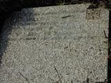 image of grave number 547794